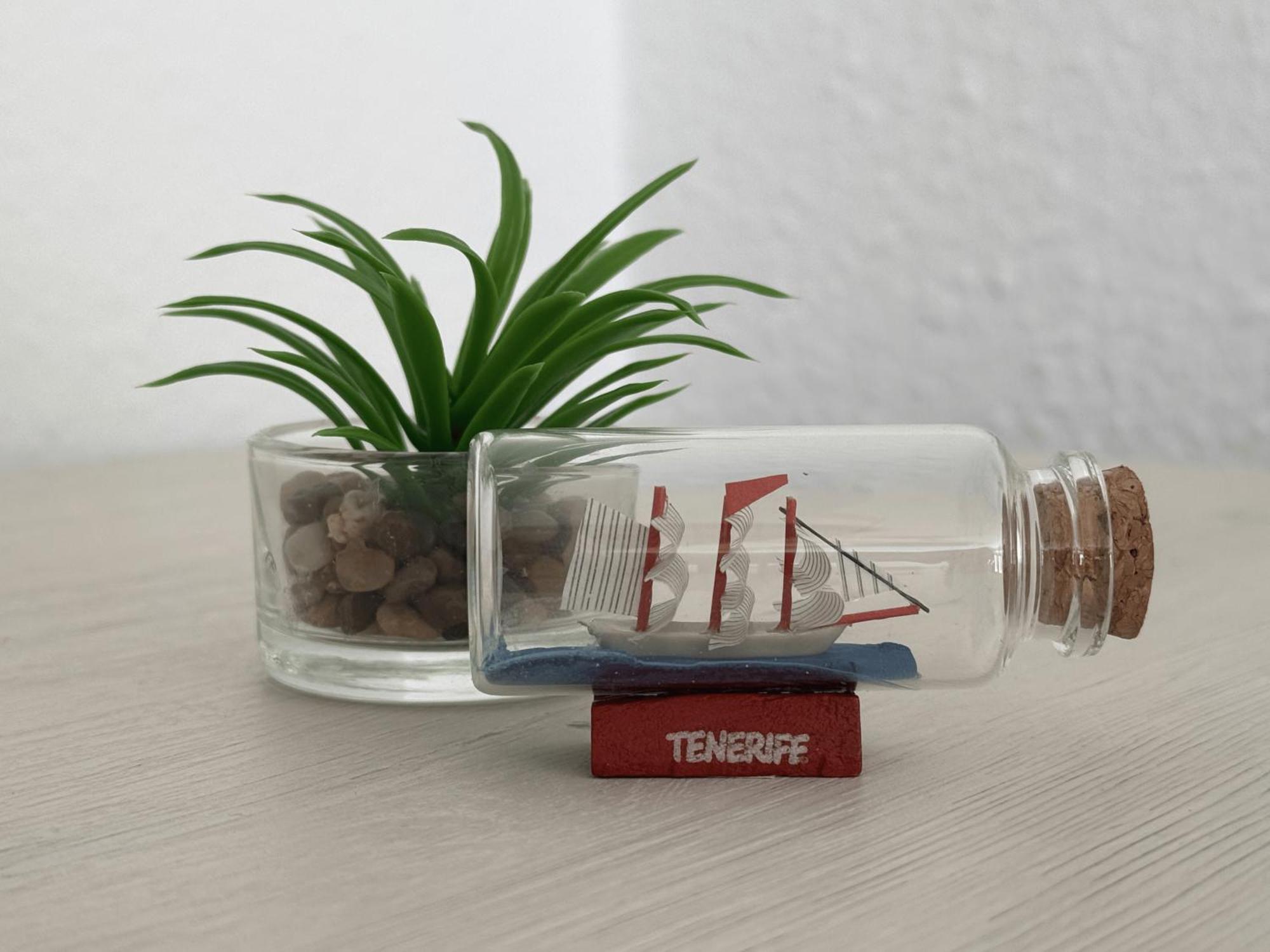 Las Americas Stunning Apartment Close To The Sea In Tenerife アロナ エクステリア 写真
